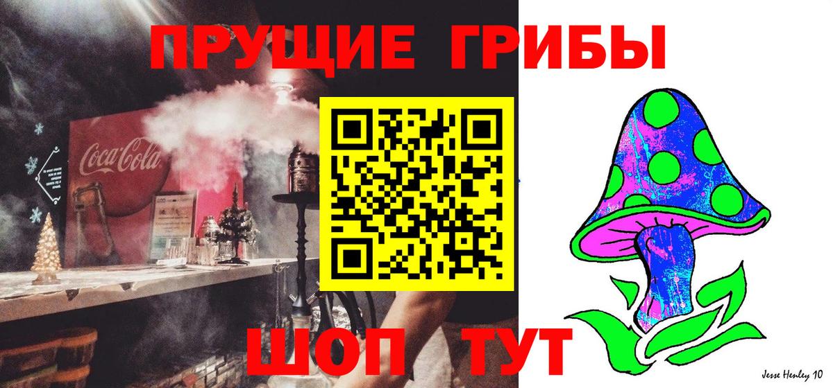 Галлюциногенные грибы Cubensis Асино