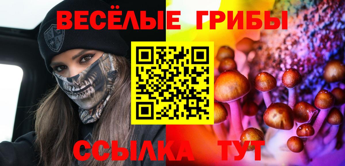 Галлюциногенные грибы MAGIC MUSHROOMS  купить наркоту  Асино  Вход с VPN 